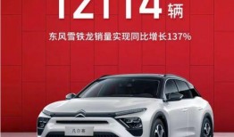 雪鹰哥最新爆料车评,揭秘车评界新宠儿的真实表现！