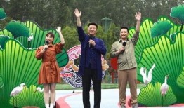 开平金山爆料事件视频最新,真相揭露与网络舆论风暴