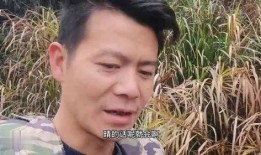 牛不啦二嫂最新爆料,揭秘娱乐圈惊人内幕