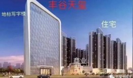 鸿阜园最新爆料消息今天,今日最新爆料，带你一探究竟！